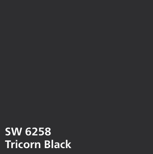 Tricorn_Black_On_A_House