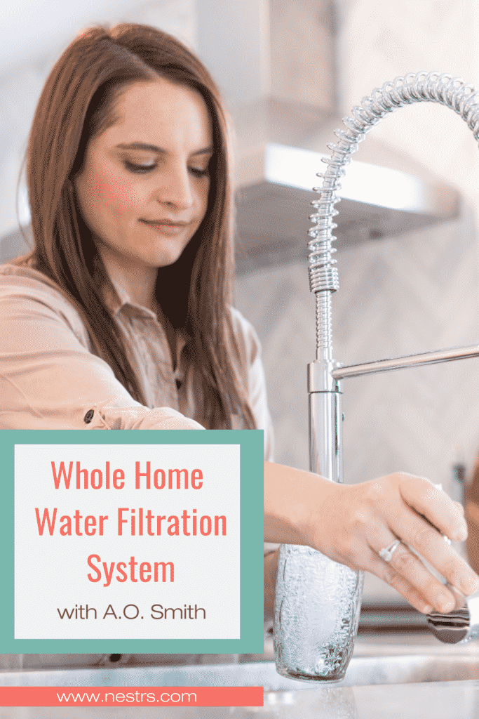 Whole home water filtration systems