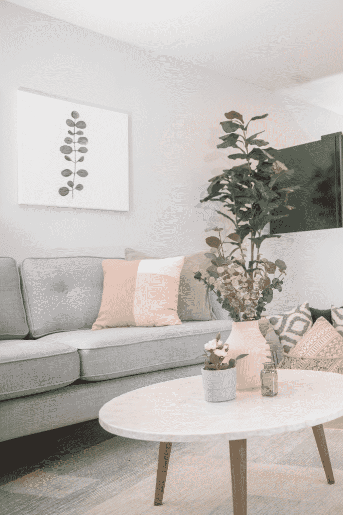 A living room with a gray couch and a coffee table holding potted plants.