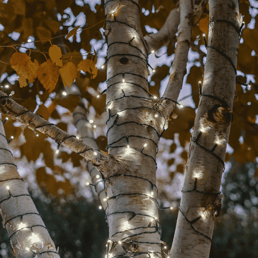 solar powered lights on a tree