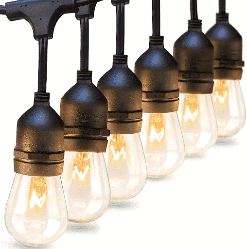 vintage Edison lights